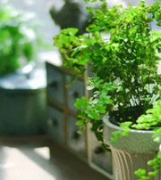 贺州专属于你的开运指南，助你鸿运当头福满身！