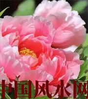 贺州预示你财运上升，姻缘可成的梦境，快来看看吧！