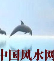 贺州做梦梦到这些，是要富裕的征兆！